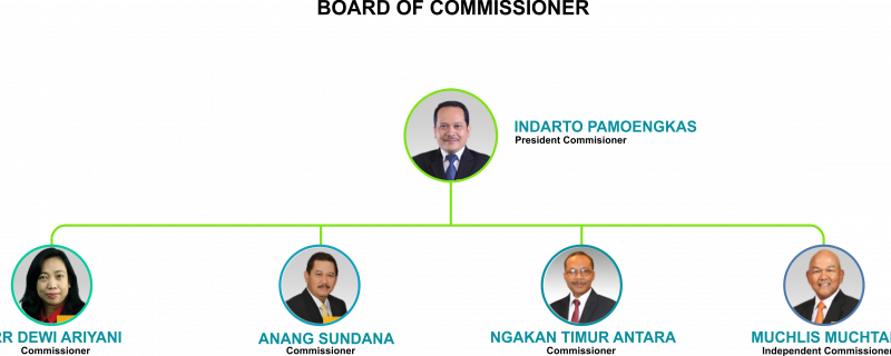 BOARD COMMISSIONER